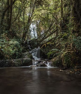 Ontwaken in het Amazone-Regenwoud: Een Reis Door de Wonderen van de Biodiversiteit